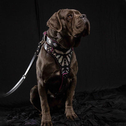 The ''Ariel'' collar