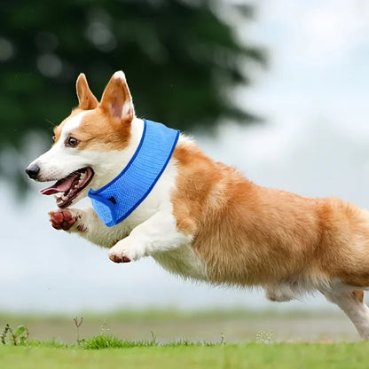 1pc Pet Summer Cooling Scarf Cool Collar Suitable for All Breeds in 4 Sizes Adjustable Fit Essential for Outdoor Activities