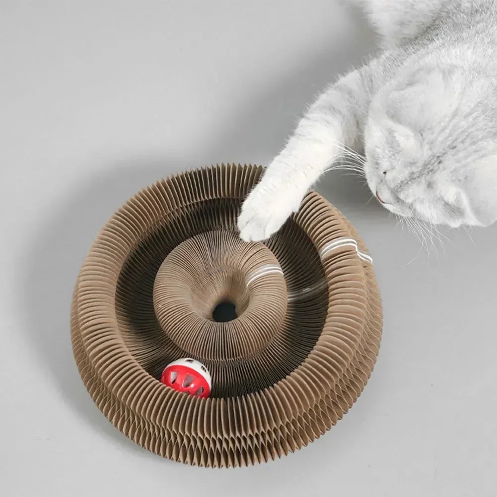 Interactive Cat Scratching Board with Magic Organ Design - Durable Claw Grinding Toy for Playful Felines, Essential Pet Supply