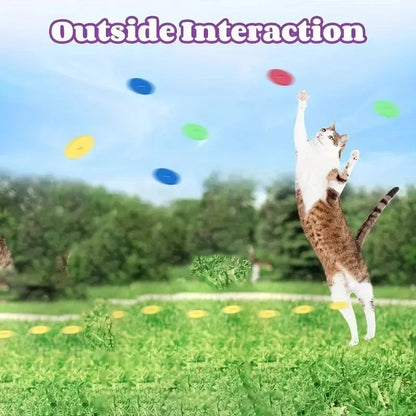 Pet Flying Disc Launcher Toy Durable Chew Resistant Interactive Play Toy with 15 Reusable Foam Discs for Cats Dogs