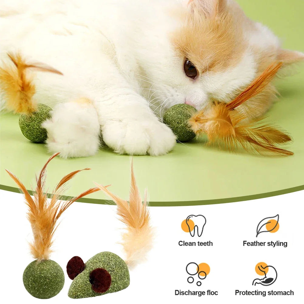 Feather Catnip Ball for Cats Self Cleaning Teeth Grinding Toy Mint Ball Pet Supplies Interactive Kitty Playtime Essential