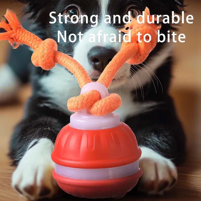 Hot Selling Pet Intelligent Rolling Ball Dog Electronic Toy Ball Intelligent Bite Resistant Cat Toy with Built-in Bird Chirping