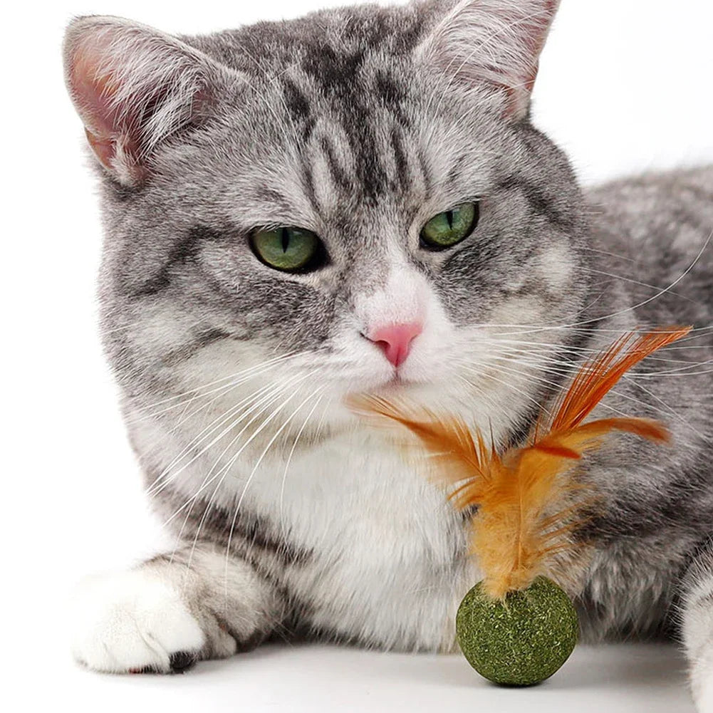 Feather Catnip Ball for Cats Self Cleaning Teeth Grinding Toy Mint Ball Pet Supplies Interactive Kitty Playtime Essential