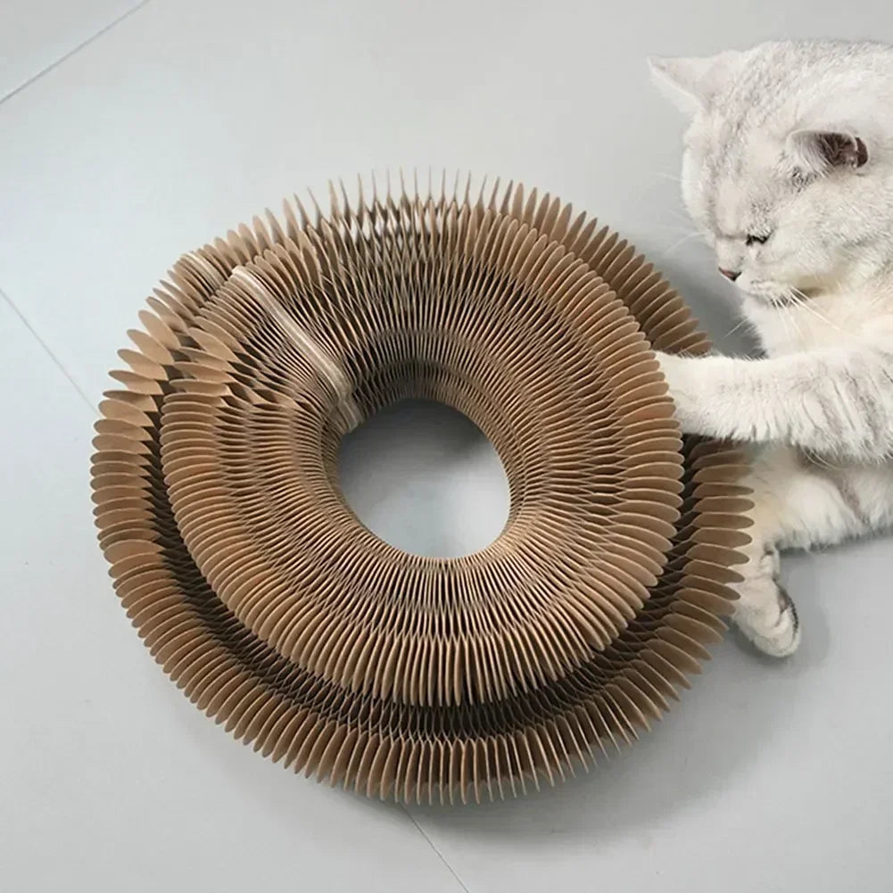 Interactive Cat Scratching Board with Magic Organ Design - Durable Claw Grinding Toy for Playful Felines, Essential Pet Supply