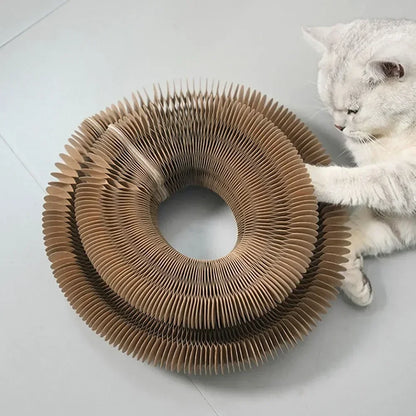 Interactive Cat Scratching Board with Magic Organ Design - Durable Claw Grinding Toy for Playful Felines, Essential Pet Supply