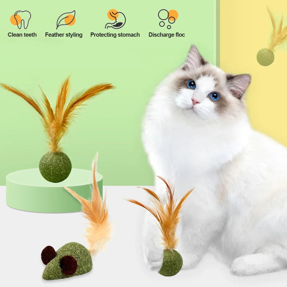 Feather Catnip Ball for Cats Self Cleaning Teeth Grinding Toy Mint Ball Pet Supplies Interactive Kitty Playtime Essential