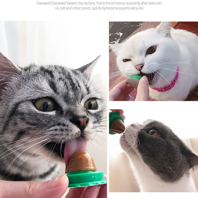 Catnip Energy Ball Lick Toy-0