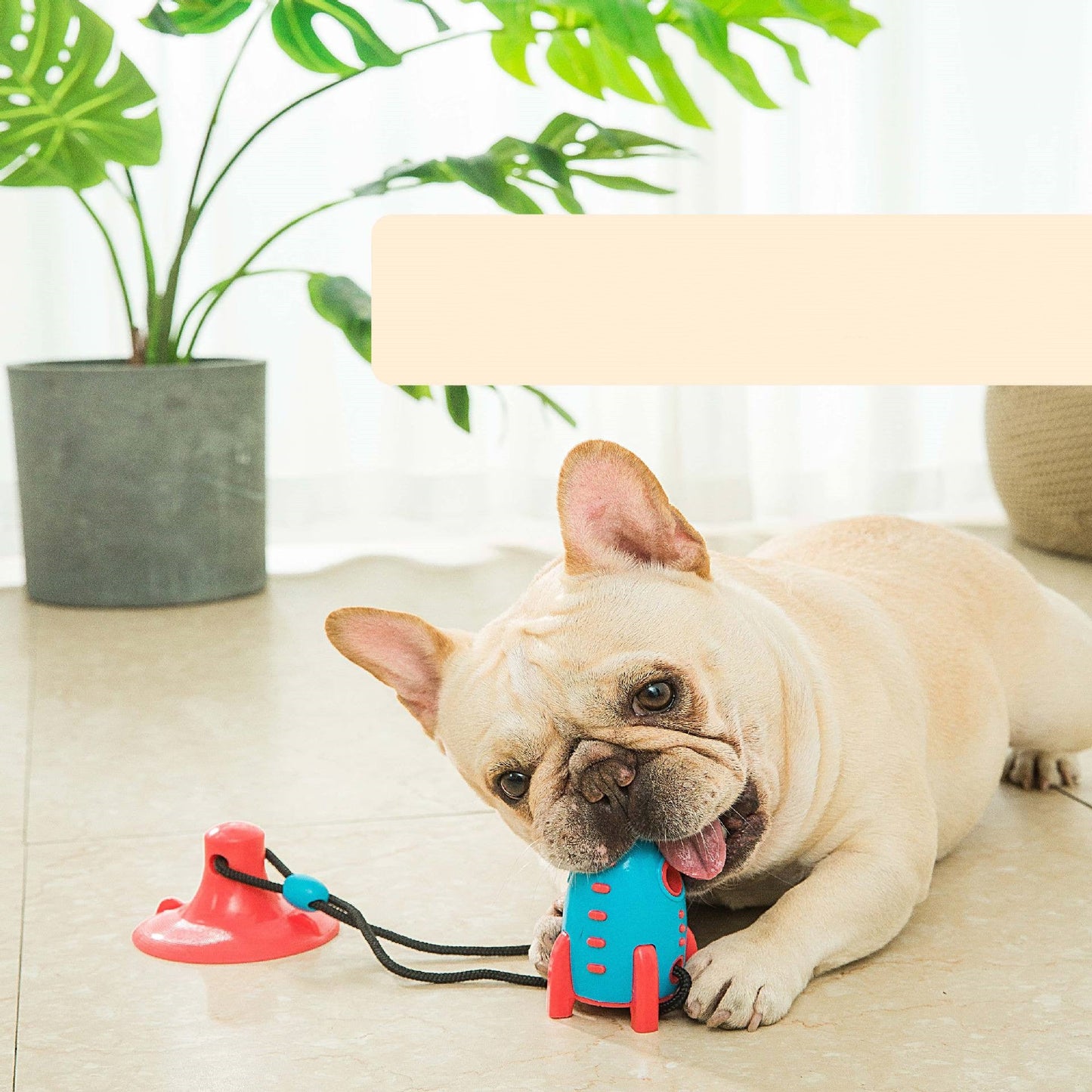 Leak-Proof Interactive Dog Chew Toy-0