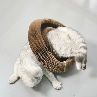 Interactive Cat Scratching Board with Magic Organ Design - Durable Claw Grinding Toy for Playful Felines, Essential Pet Supply