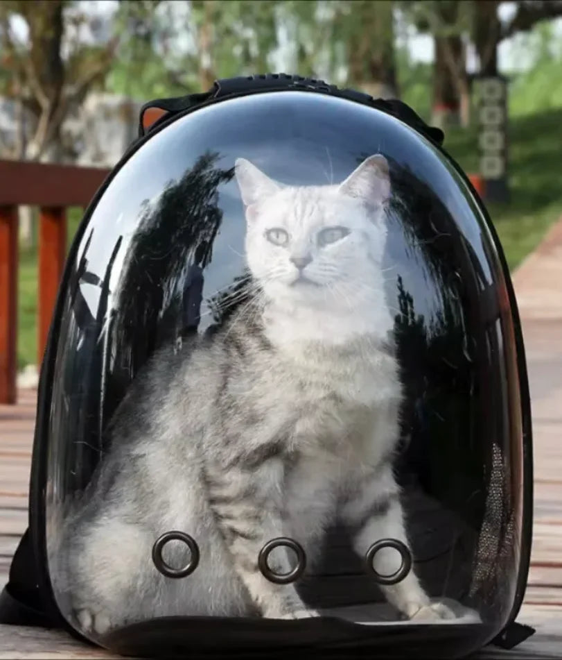 Portable Space Capsule Breathable Cat Bag, Pet Travel Supplies, carrying Pets Travel Essential