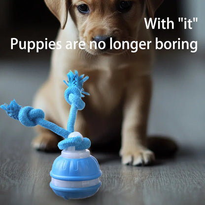 Hot Selling Pet Intelligent Rolling Ball Dog Electronic Toy Ball Intelligent Bite Resistant Cat Toy with Built-in Bird Chirping