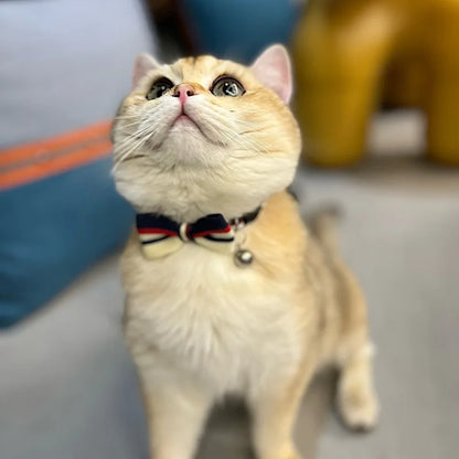 British-style striped bow tie with bells and cat collar, pet anti-asphyxiation collar, pet wedding bow, essential for daily fash