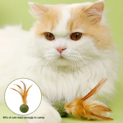 Feather Catnip Ball for Cats Self Cleaning Teeth Grinding Toy Mint Ball Pet Supplies Interactive Kitty Playtime Essential