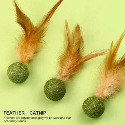 Feather Catnip Ball for Cats Self Cleaning Teeth Grinding Toy Mint Ball Pet Supplies Interactive Kitty Playtime Essential