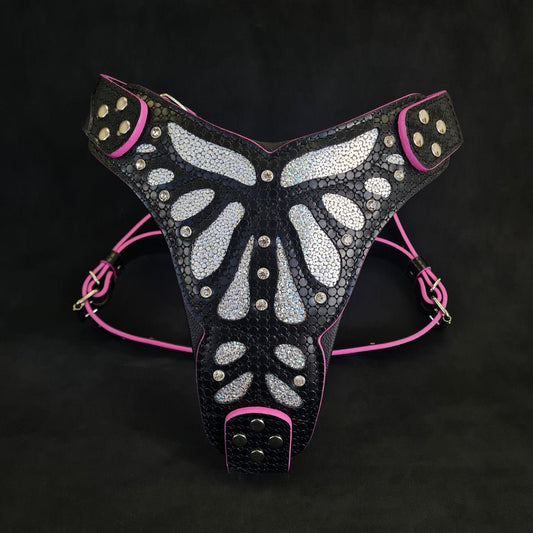 The ''Ariel'' harness